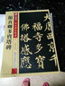 顏真卿多寶塔碑 傳世碑帖精選 顏體楷書毛筆練字帖 原碑帖本藝術書法真跡還原 墨點字帖 湖北美術出版社 曬單實拍圖