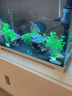 咪貝萌金魚缸造景裝飾仿真假水草花草植物柔軟塑料小水族箱懶人布景擺件 CX24綠色-高11CM 曬單實拍圖