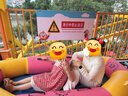 蕉下（beneunder）修身立領(lǐng)防曬衣26新款女款外套遮陽透氣防曬服顯瘦百搭禮物送女友 新款-椰米白 XL 尺碼偏小 曬單實(shí)拍圖