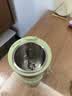膳魔師（THERMOS）豆漿杯迷你豆漿機破壁機全自動免煮2026新款靜音小型1人-2人變頻家用便攜一人燒水杯免過濾料理機 【細膩無渣】松煙綠 0.3L 曬單實拍圖