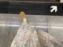 三彩【100棉】印花半身裙松緊高腰A字裙長裙大擺2026夏季新款女裝M 落日橘花卉 M 160/68A 曬單實拍圖