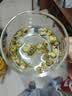 富光高硼硅玻璃杯單層男女士高顏值辦公室耐熱花茶果汁牛奶杯子帶把手 曬單實拍圖