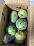 新鮮現摘蜜甜無絲特級澳芒蘋果芒  核小肉厚當季大果壞果包賠云南 蘋果芒【單果250g+】9斤凈重8.5斤云南 曬單實拍圖