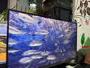 微星（MSI）27英寸 4K 65W Type-c 10Bit  99%DCIP3 萊茵低藍光認證不閃護眼屏 微邊框 家用辦公顯示器MD271UL 曬單實拍圖