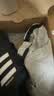 阿迪達斯（adidas）adidas三葉草貝殼頭SUPERSTARII男女休閑鞋 JI0079 38.5碼 曬單實拍圖