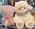 赟婭小羊玩偶花束娃娃送女生朋友生日禮物女孩精致花束禮物狗狗公仔盒 桃心咩+11朵粉色花束+燈串【禮盒款】 曬單實拍圖
