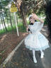 閃動少女藍白lolita洋裝jsk日常連衣裙公主洛麗塔少女甜美斗篷 藍白jsk+斗 S 曬單實拍圖
