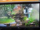 AOC 31.5英寸4K顯示器HDR  低藍光 辦公設計節能臺式電腦顯示屏 升降旋轉 10bit 4K/低藍光/升降旋轉 U32N10 曬單實拍圖