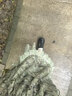 LULUALWAYS華服系列-窈窕淑女25夏季新款法式復古公主露肩連衣裙 綠色 XL 曬單實拍圖
