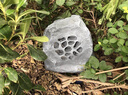 笛友 戶(hù)外草坪音箱園林小區防水喇叭室外仿真石頭音箱公園假山音響定壓設備 特小灰石頭 曬單實(shí)拍圖