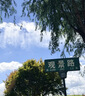 回力短袖t恤女2026新款夏季時尚高級感藍色體恤寬松顯瘦速干正肩半袖 曬單實拍圖