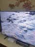 三星（SAMSUNG）不支持延遲發(fā)貨 Q7F系列 QLED量子點電視 超薄4K全面屏電視動態(tài)加速 AI智能語音 液晶電視 65英寸 QA65Q7FAAJXXZ 曬單實拍圖