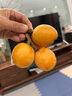 謎秀蕾絲花邊短袖襯衫女2026夏季新款蝴蝶結系帶泡泡袖襯衣收腰上衣潮 紅格 S 曬單實拍圖