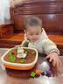 RICH YOUR HOME德國品質嬰兒拔蘿卜玩具蒙氏教育寶寶幼兒早教親子互動玩具 彩盒：拔蘿卜玩具(24蘿卜+8卡片) 曬單實拍圖