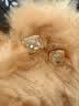 翡拉拉（fellala）「星座守護」小方糖耳釘輕奢白色閃耀耳飾十二星座生日七夕節(jié)禮物 小號 一對 曬單實拍圖