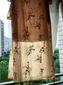 JK&JS【醉芙蓉】扎染工藝滿版刺繡人絲麻斜襟連衣裙中式長裙 粉橘色 S 曬單實拍圖
