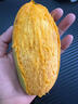 京覓攀枝花椰香芒果 中果凈重8斤單果150g+ 濃甜雞蛋芒  源頭直發 曬單實拍圖