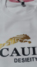 皮爾卡丹（pierre cardin）短袖t恤男士夏季純棉圓領半截袖中青年休閑體恤打底衫 白色 2XL 曬單實拍圖