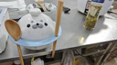 CMYD STUDIO原創papa海豹泡面碗可愛高顏值陶瓷帶蓋飯碗家用餐具生日禮物 papa海豹泡面碗 【原創正版】papa海豹泡面碗-人工手繪會有溢線及黑點 曬單實拍圖