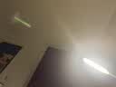 李寧純棉圓領寬松短袖文化衫男女同款條紋拼色休閑運動上衣ATSV515 曬單實拍圖