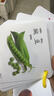 貝木惠（beimuhui）可水洗早教認(rèn)知卡寶寶卡片撕不爛啟蒙嬰兒童識(shí)字看圖水果動(dòng)物 【水果+蔬菜】(雙面可水洗)30張 曬單實(shí)拍圖