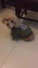 NINKIN狗狗衣服加厚秋冬裝法斗泰迪比熊柯基柴犬小型犬寵物衣服衛衣棉衣 軍綠飛虎隊 S-建議7-10斤穿 曬單實(shí)拍圖