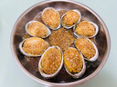 樂(lè )食港鮮活大鮑魚(yú)貝類(lèi)海鮮新鮮鮑魚(yú)活海鮮水產(chǎn) 活鮑魚(yú)1斤（8只） 曬單實(shí)拍圖
