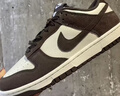 耐克（NIKE）26年夏季新款Dunk Low Retro SE男子舒適運動休閑鞋 FQ8249-104 42.5 曬單實拍圖