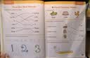 Evan Moor Smart Start Sight Words&High Frequency Words 1-2 美國聰慧啟蒙系列 英語高頻詞 英文原版進口 聰慧啟蒙系列（高頻詞）學齡前至二年級 曬單實拍圖