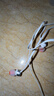 JBL TUNE310C 入耳式有線耳機T310C帶麥克風電競耳麥typec耳機游戲音樂手游適用于華為蘋果Type-C接口 銀色 曬單實拍圖