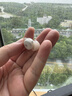 聲闊安克 【馬思純同款】深睡艙A30 睡眠耳機藍牙耳機 無痛側睡降噪耳機 降噪耳塞防噪音助眠月光白 曬單實拍圖
