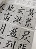 黃自元楷書千字文 上?？茖W(xué)技術(shù)文獻(xiàn)出版社 施志偉 編 著 書籍 曬單實拍圖
