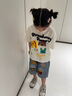 女童2026新款套裝夏季中大童洋氣卡通T恤短袖毛巾繡牛仔中褲套裝 圖片色 薄款 140 cm （適合身高130cm左右） 曬單實拍圖