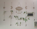 京衛(wèi)水培植物玻璃花瓶ins風(fēng)創(chuàng)意裝飾透綠蘿容器小清新吊瓶明懸掛壁掛 五件套(如圖) 中等 曬單實(shí)拍圖