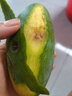 廣西百色桂七芒果新鮮田東桂7青皮香芒現摘應季水果禮盒京東包郵 大果250-300g｜正宗桂七香芒 9斤｜超值劃算 曬單實拍圖