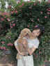 南木熊短袖正肩t恤女韓系2026夏季新款白色波點(diǎn)圓領(lǐng)修身短款內(nèi)搭上衣女 白色 紅波點(diǎn)短袖 M 【96-110斤】 曬單實(shí)拍圖