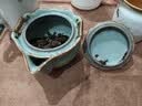 漢唐青瓷開(kāi)片蓋碗茶杯大號(hào)泡茶碗防燙過(guò)濾茶蓋碗單個(gè)陶瓷功夫茶具家用 清心蓋碗【青瓷開(kāi)片】 曬單實(shí)拍圖