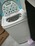 揚子（YANGZI）【品牌熱銷TOP1】脫水機單甩干脫水機干桶甩干機小型迷你家用甩干桶出租房宿舍大容量 8.8KG塑桶+365天只換不修 單缸 曬單實拍圖