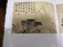 揚(yáng)州畫派書畫全集：邊壽民江蘇蘇超 曬單實(shí)拍圖
