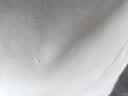 夢特嬌（MONTAGUT）【吸濕透氣棉】短袖polo衫男中年高端商務翻領短袖T恤男夏季休閑 淺灰 2XL /54/185/100A[200斤內] 曬單實拍圖