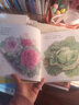 【叢書自選】 我愛蔬菜系列套裝十冊 麥田精選圖畫書 3-6周歲植物蔬菜科普繪本 少年兒童出版社 套裝全六冊 曬單實拍圖
