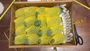 添柏嵐（Timberland）T恤男夏季新款戶外運動半袖圓領(lǐng)純棉透氣寬松黑色短袖男 寶藍色 A6DKUZ02 L 180/建議140-160斤 曬單實拍圖