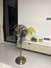 墅管家先鋒電風扇家用超靜音空氣循環扇電風扇落地扇26年新款高端復古扇碳釬維金屬循環扇 山谷風-復古扇【碳纖維雙風葉/語音智控】 曬單實拍圖