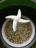 康麗家用豆芽機(jī)全自動智能大容量發(fā)豆牙菜桶自制小型生綠豆芽罐盆芽苗機(jī) 綠色雙層 曬單實(shí)拍圖