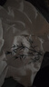 YOOOURTHING新中式竹葉短袖襯衫男新款國(guó)潮刺繡襯衣寬松休閑青少年上衣外套男 HC24249-白色(短袖） XL 【建議125-150斤】 曬單實(shí)拍圖