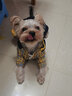 嬉皮狗（hipidog）狗狗衣服小型犬寵物秋冬保暖泰迪比熊博美可愛(ài)小狗四腳秋冬裝 曬單實(shí)拍圖