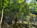 中國(guó)珠寶彌勒佛和田玉黃金項(xiàng)鏈女足金珠玉佛吊墜生日七夕情人節(jié)禮物送女友 曬單實(shí)拍圖