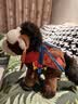 問童子 一馬當先玩偶 馬年毛絨公仔掛件玩具鑰匙扣生日禮物 一馬當先掛偶 旗開得勝版 曬單實拍圖