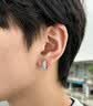 恩久高級(jí)感耳環(huán)男潮氣質(zhì)耳圈雙排滿鉆耳扣輕奢男女耳釘2026新款潮耳飾 【單只】雙排滿鉆耳扣 曬單實(shí)拍圖