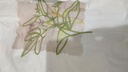 香影【涼感抑菌】刺繡印花白t恤女2026夏季新款圓領短袖棉質上衣 白色 M 160/95-110斤/上衣54.5CM 曬單實拍圖
